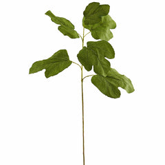 Zucca: rami decorativi per vasi o composizioni - 231578,70