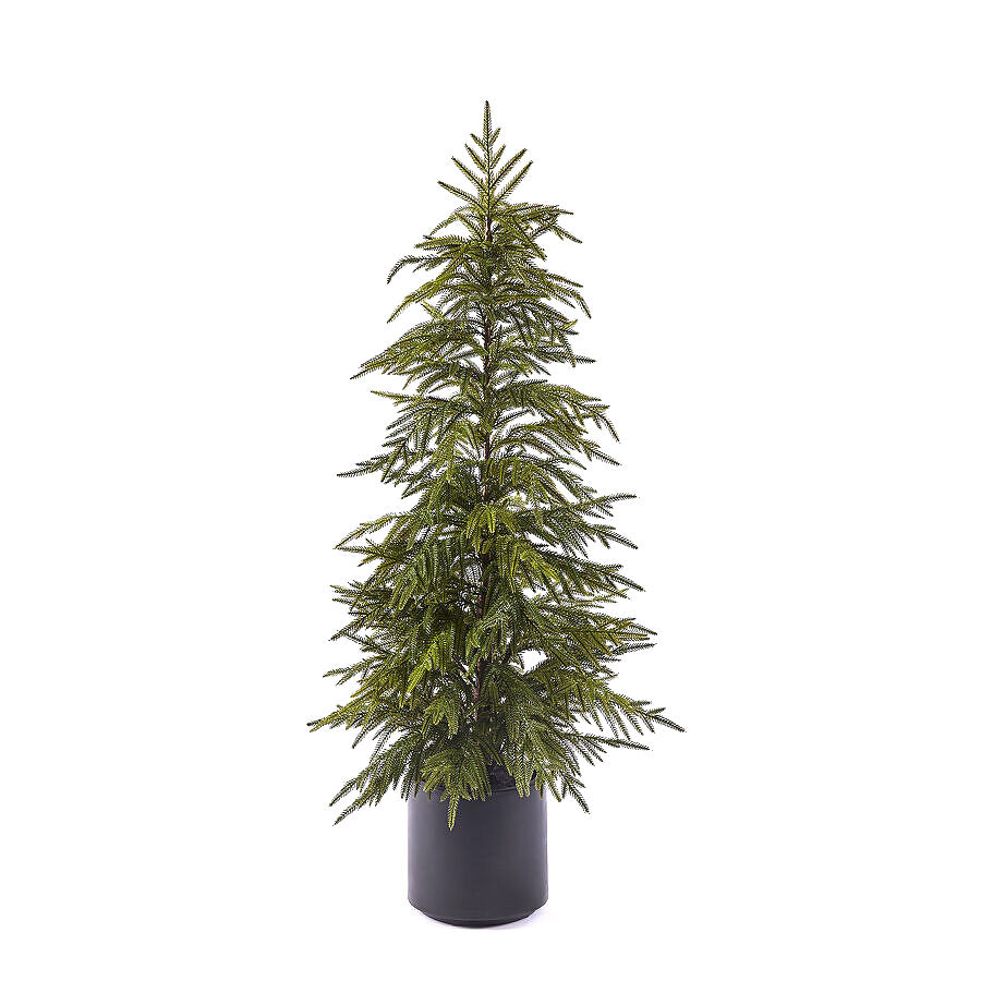 EDG - Enzo De Gasperi Albero Cryptomeria Real Touch con Vaso H120 cm