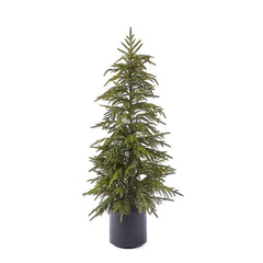 EDG - Enzo De Gasperi Albero Cryptomeria Real Touch con Vaso H120 cm