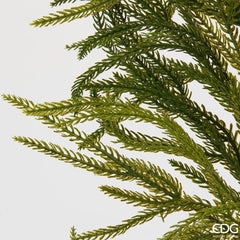 EDG - Enzo De Gasperi Albero Cryptomeria Real Touch con Vaso H90 cm
