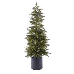 EDG - Enzo De Gasperi Albero Cryptomeria Real Touch con Vaso H152 cm