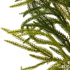 EDG - Enzo De Gasperi Festone di Cryptomeria Real Touch L210 cm