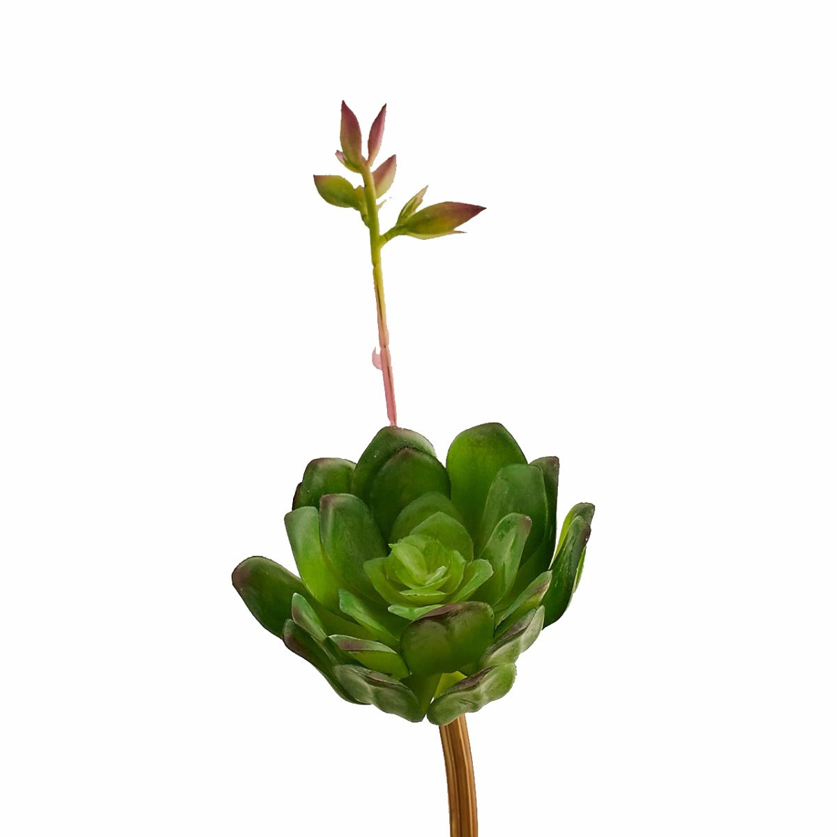 Pianta artificiale di Aeonium con fiore : Piante succulente artificali - 231610,70
