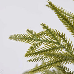 EDG - Enzo De Gasperi Albero Cryptomeria Real Touch con Vaso H152 cm