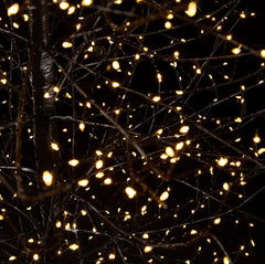 Albero di Faggio Luminoso Nero H210CM con 2700 Led - 682356