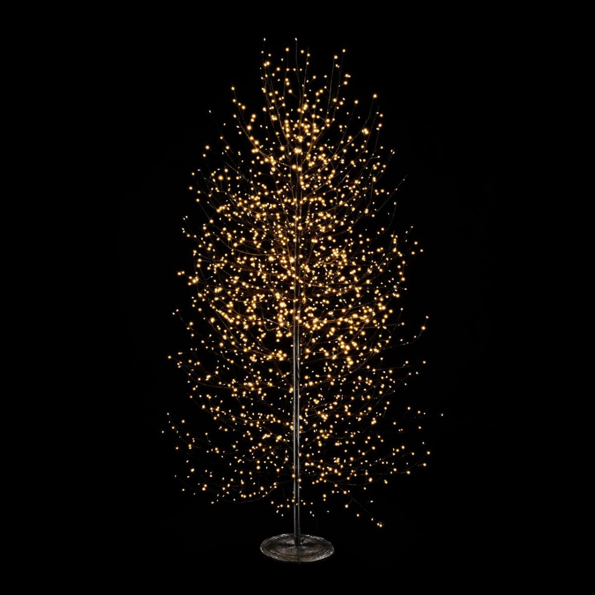 Albero di Faggio Luminoso Nero H180CM con 2000 Led - 682355