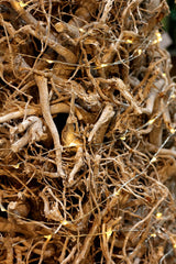 Emile willow : Albero di Natale in legno Naturale con luci Led - 683436
