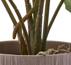 Pianta di Alocasia Artificiale Con Vaso H58 - 232930