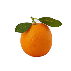 Arancia Artificiale con Foglie D8 Cm - Frutta Artificiale di Qualit&agrave; - 250193,30