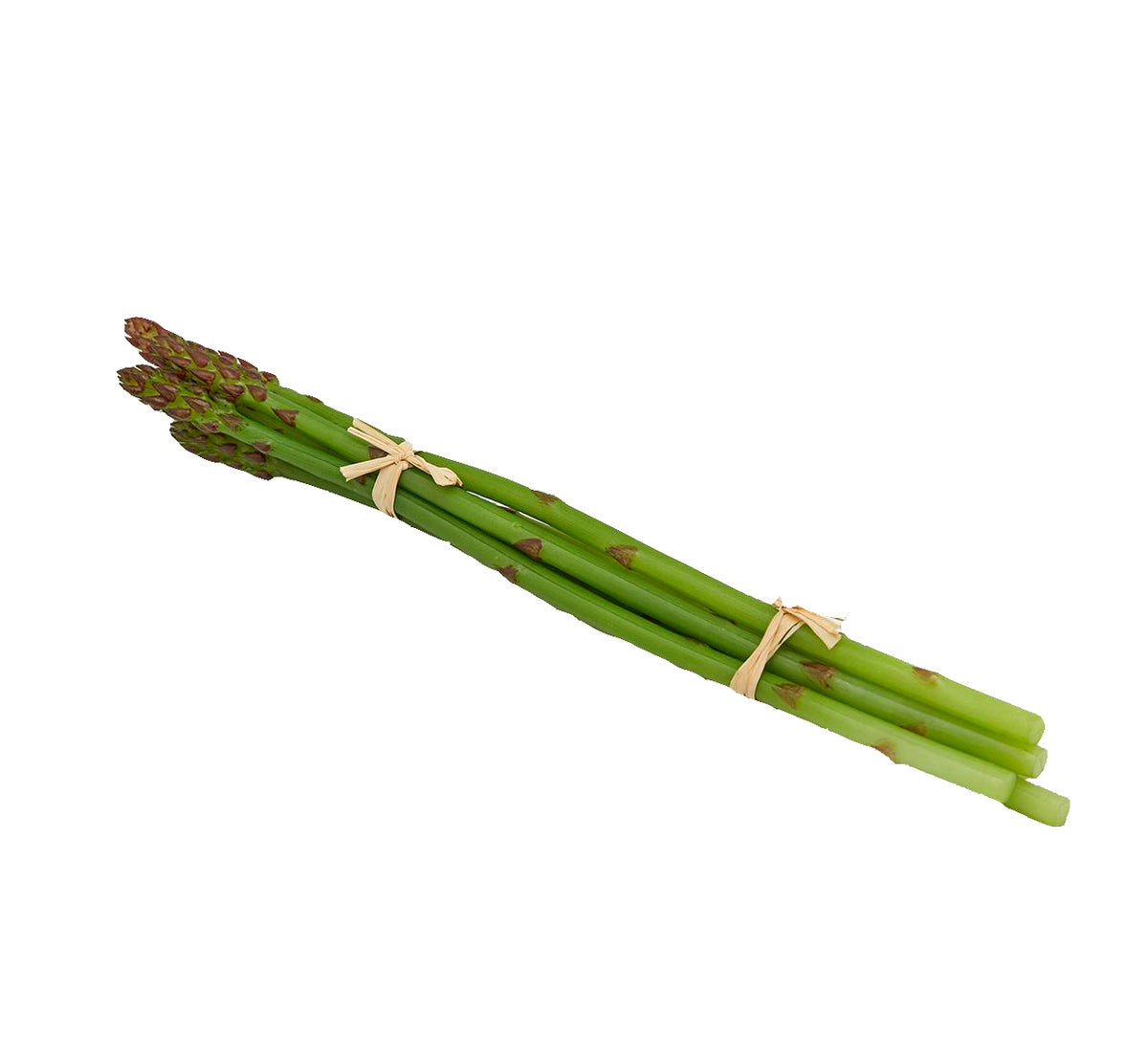 Asparago selvatico artificiale MZ/6PZ | Frutta e verdura finta - 250708