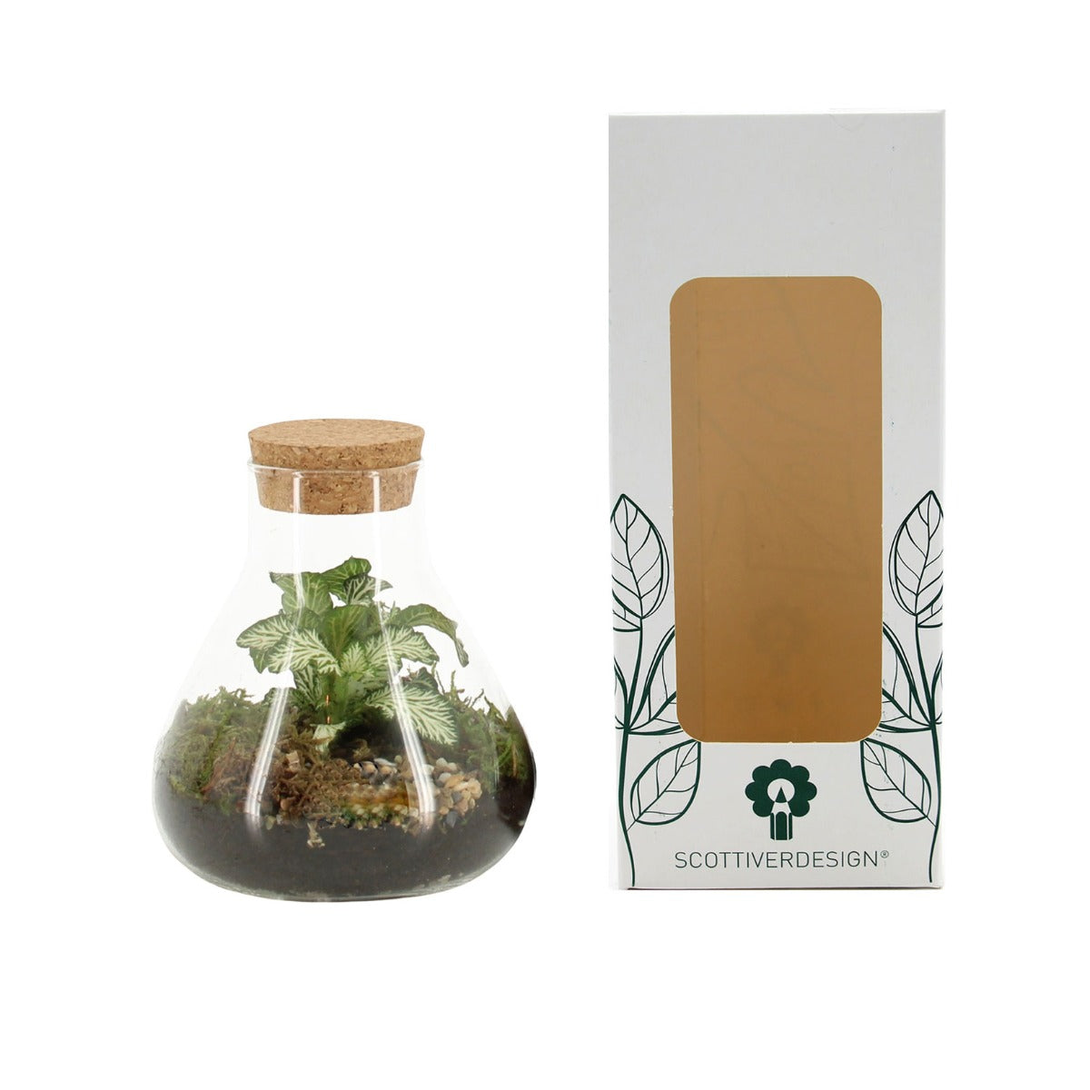 Bomboniera Green | Terrarium Laborantin  - HAR_KTRP00