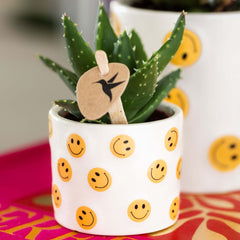 Bomboniere Green | Mix Succulente e Cactus in Vasetto Smiley