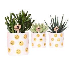 Bomboniere Green | Mix Succulente e Cactus in Vasetto Smiley