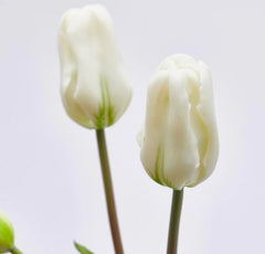 Bouquet 3 Tulipani Bianchi Real Touch H48 | Fiori artificiali di qualit&agrave; - 216120,10