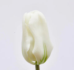 Bouquet 3 Tulipani Bianchi Real Touch H48 | Fiori artificiali di qualit&agrave; - 216120,10