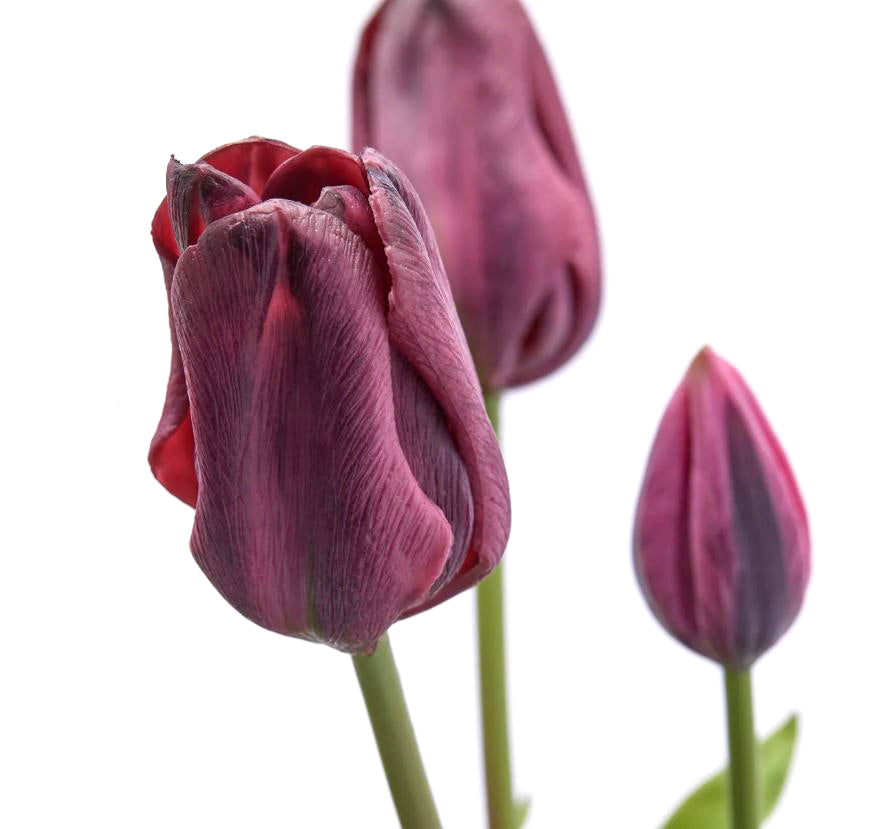 Bouquet 3 Tulipani Viola Real Touch H48 | Fiori artificiali di qualit&agrave; - 216120,62