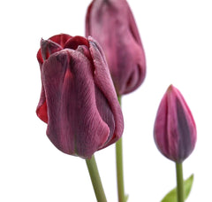 Bouquet 3 Tulipani Viola Real Touch H48 | Fiori artificiali di qualit&agrave; - 216120,62