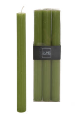 Scatola 6 candele stilo Erba 13ore - 93412