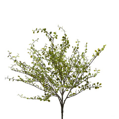 Pianta Artificiale di Mulenbechia H43 Cm