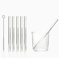 Set 6 cannucce in vetro trasparente riutilizzabili H15 + spazzolina - 102954