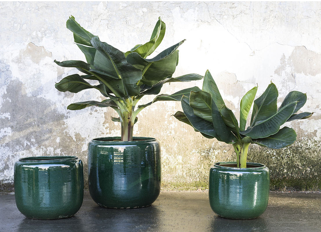 Cachepot Costa H26 Verde :  Vasi design Serax - CONFIG0296