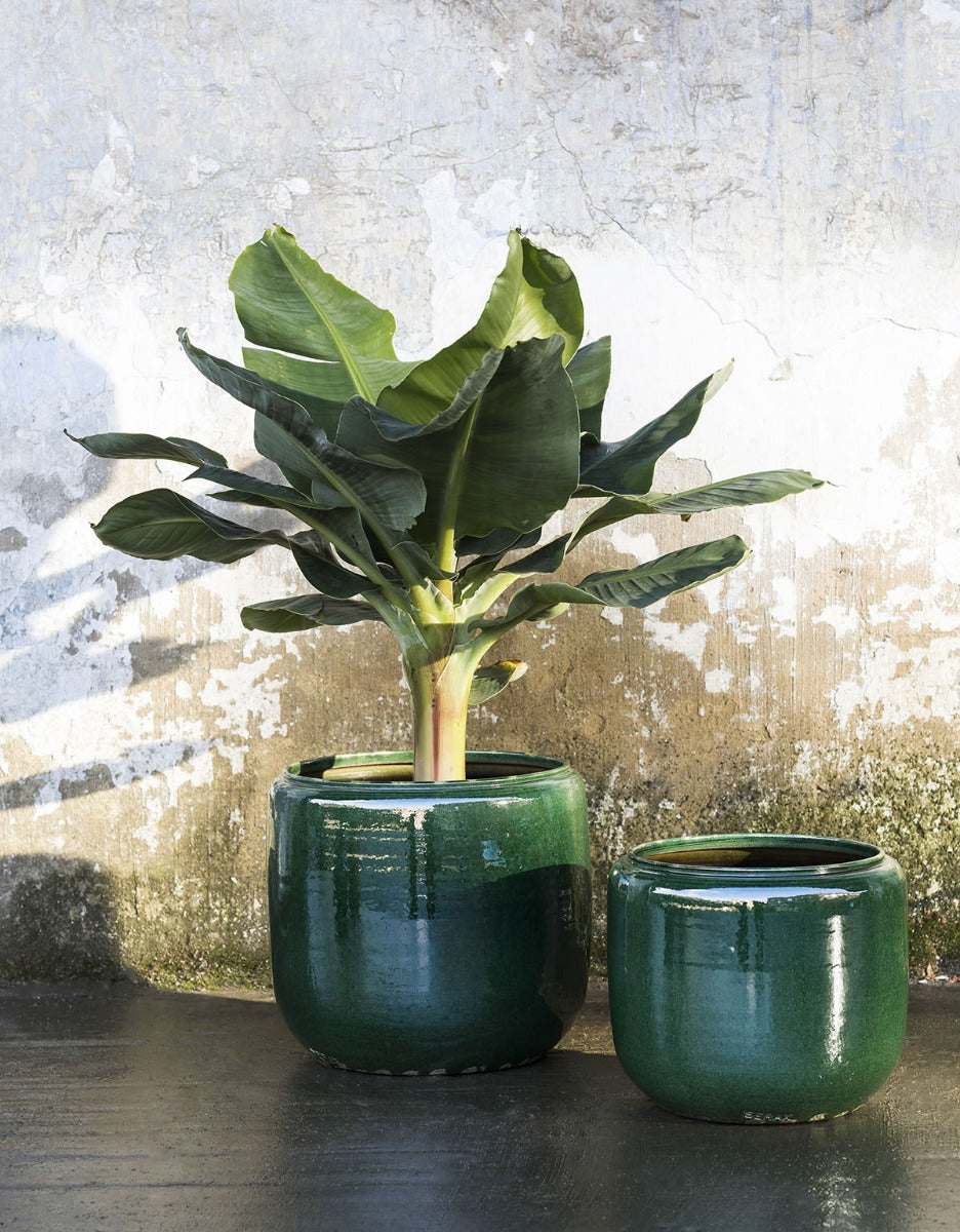 Cachepot Costa H26 Verde :  Vasi design Serax - CONFIG0296