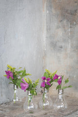 Vaso Edison H24 | Vaso in vetro a forma di lampadina - B0811417
