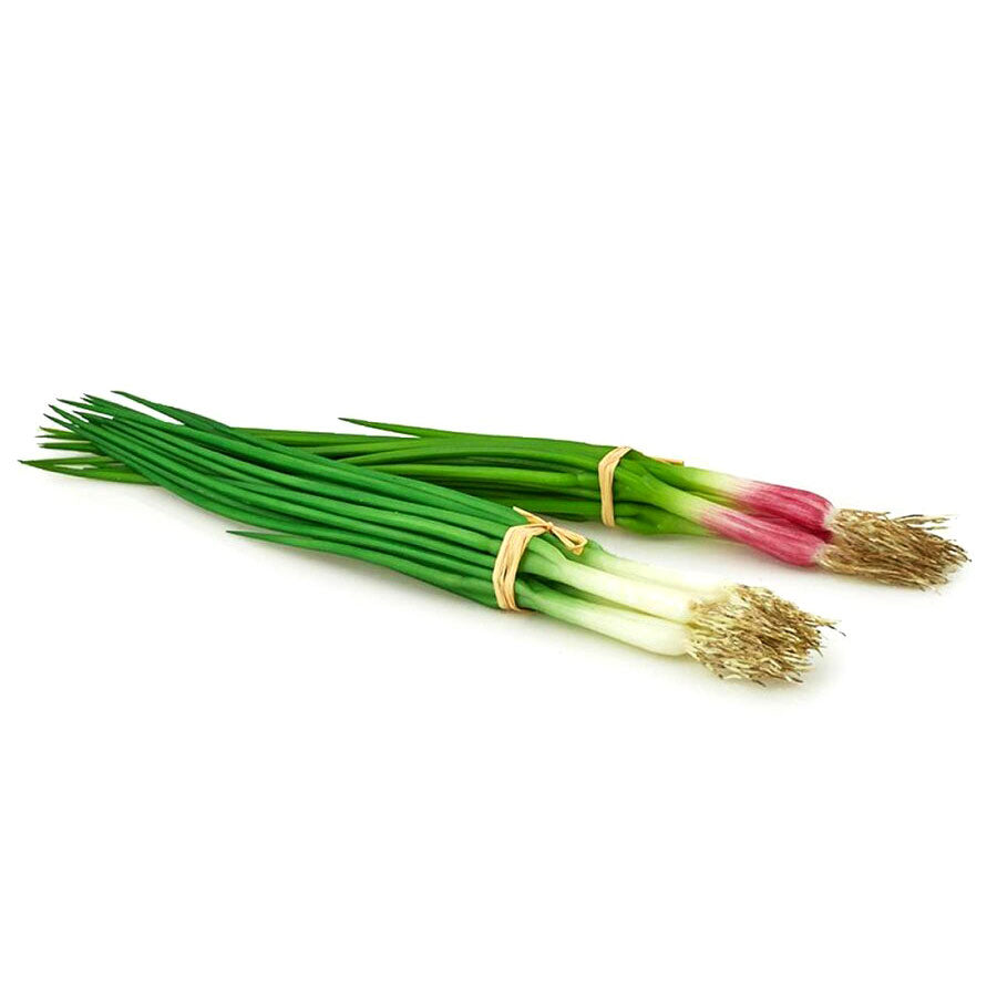 Erba Cipollina MZ/4Pz | Frutta e verdura finta - 257217