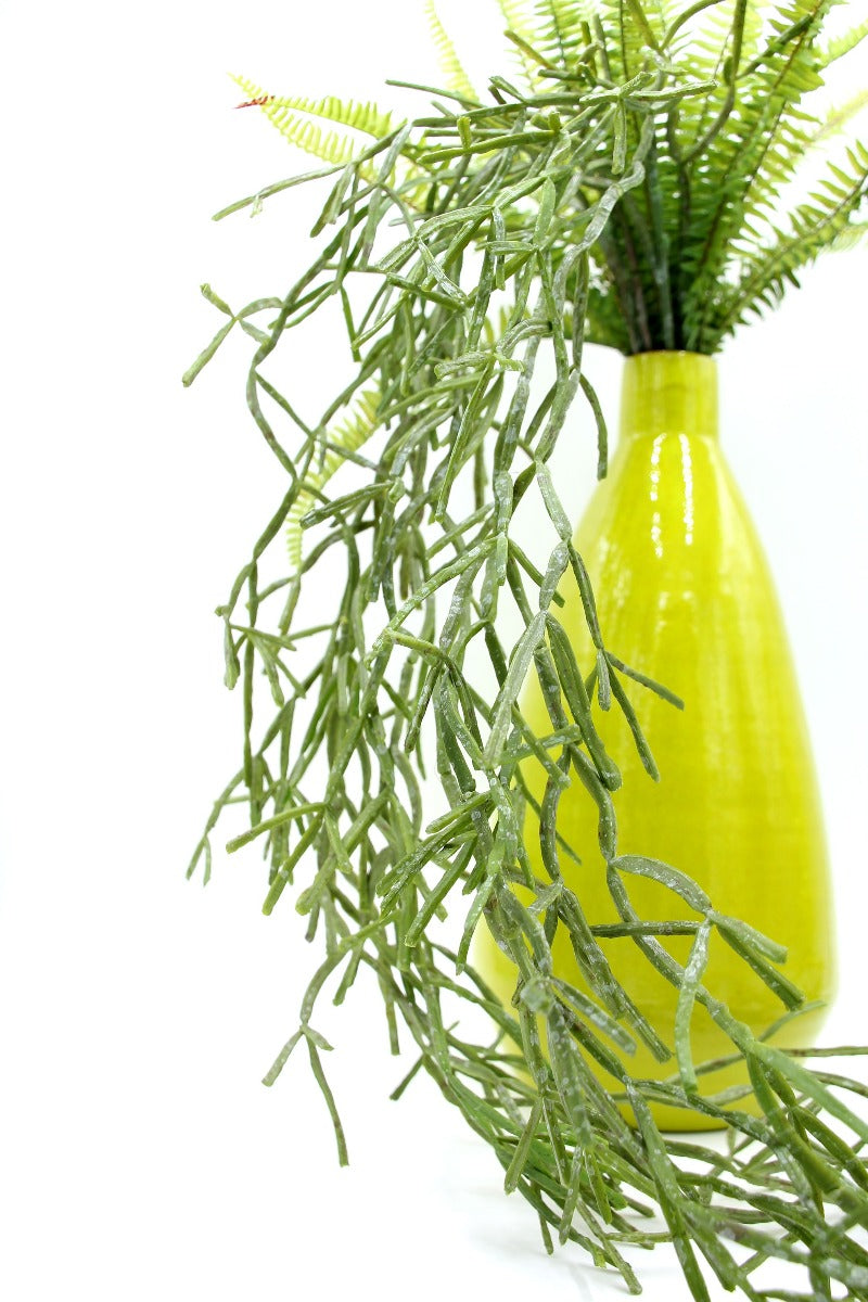 Euphorbia Tirucalli Cadente: piante grasse artificiali di qualità  - 232159