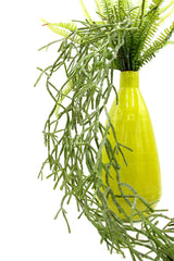 Euphorbia Tirucalli Cadente: piante grasse artificiali di qualità  - 232159