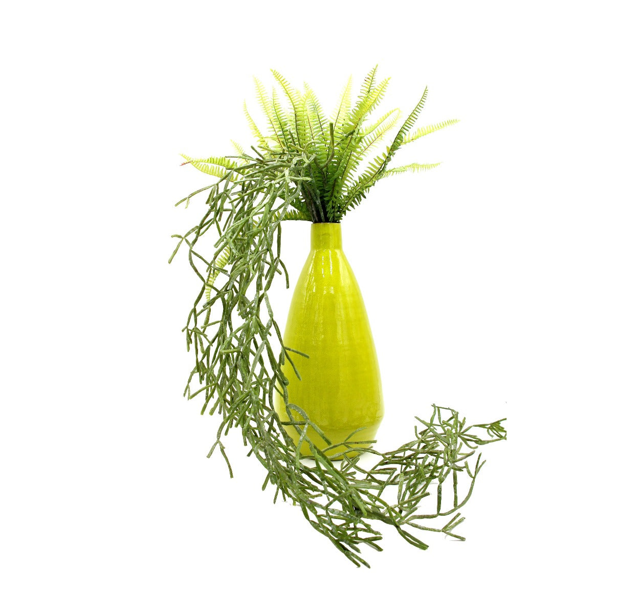Euphorbia Tirucalli Cadente: piante grasse artificiali di qualità  - 232159