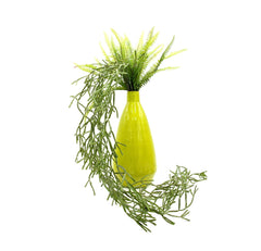 Euphorbia Tirucalli Cadente: piante grasse artificiali di qualità  - 232159
