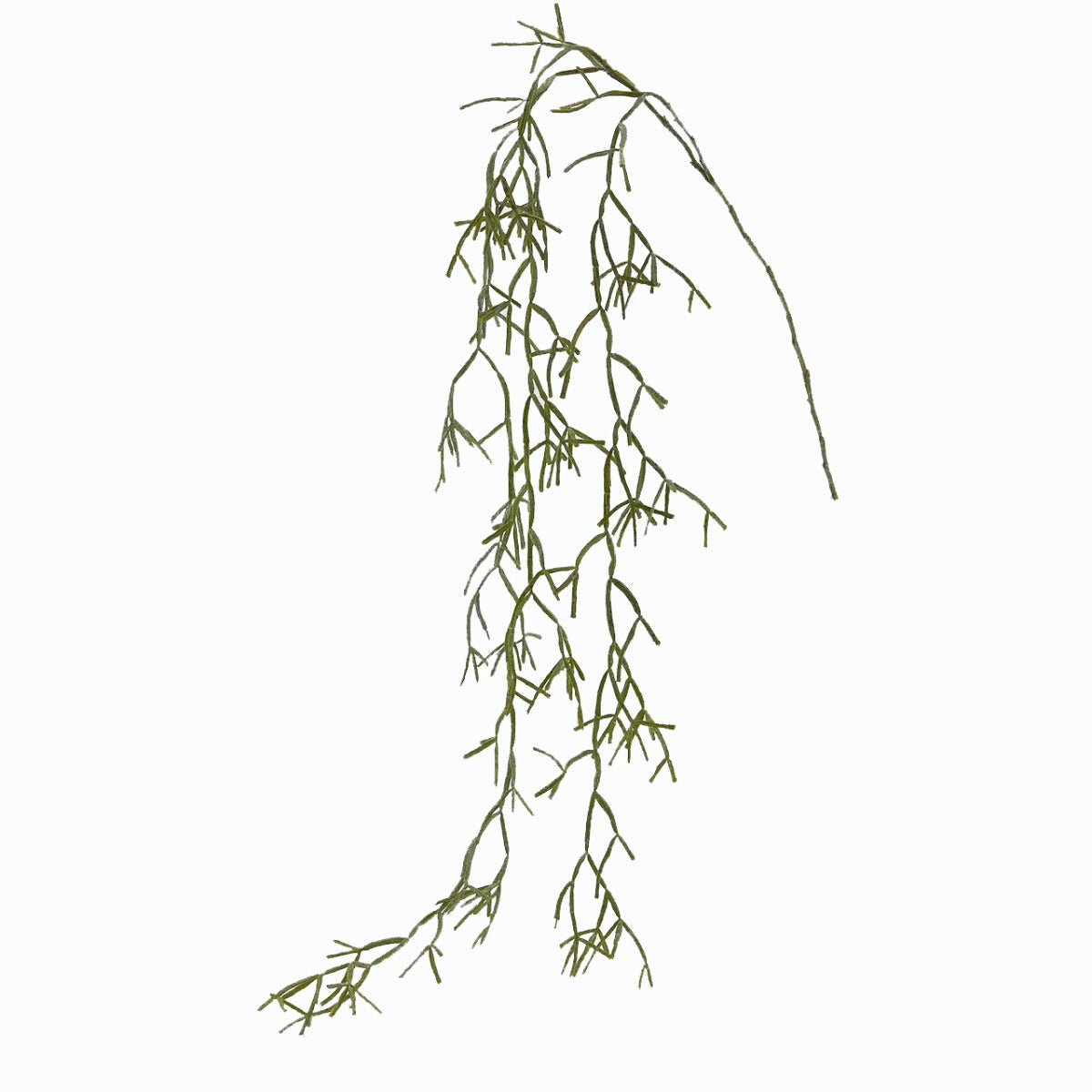 Euphorbia Tirucalli Cadente: piante grasse artificiali di qualità  - 232159