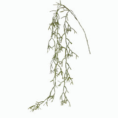 Euphorbia Tirucalli Cadente: piante grasse artificiali di qualità  - 232159
