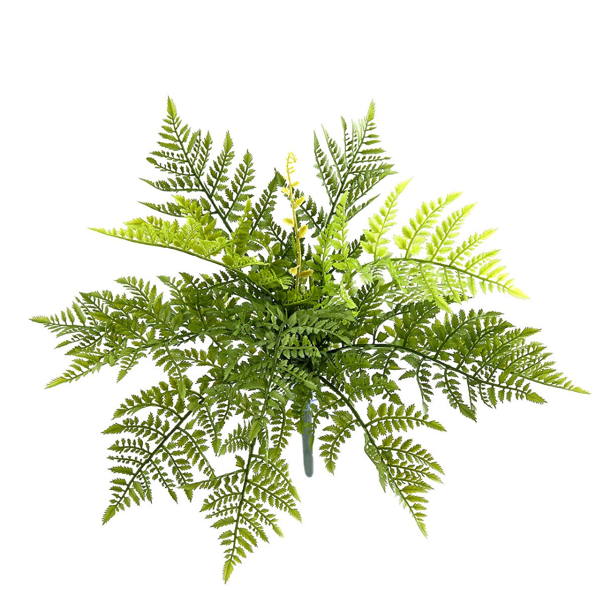 Felce Athyrium artificiale Rene H40 : Piante artificiali di qualit&agrave; - 231949