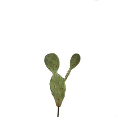 Fico D'india Artificiale Pick H38 - 231674