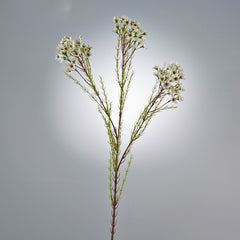 Cespuglio di Plumbago bianco: fiori artificiali di alta qualit&agrave; - 213092,10