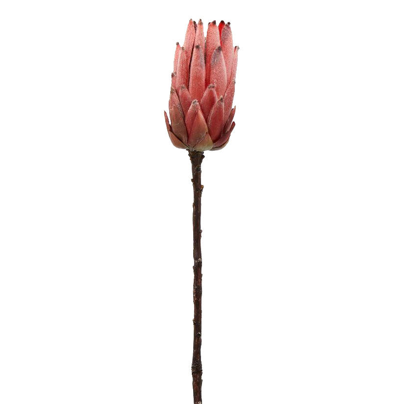 Fiore Artificiale di Protea Rosa Scuro H51 | Fiori artificiali di Qualit&agrave; - 215769-RS