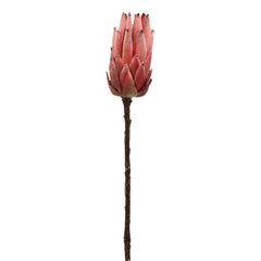 Fiore Artificiale di Protea Rosa Scuro H51 | Fiori artificiali di Qualit&agrave; - 215769-RS