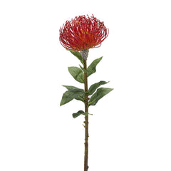Fiore Artificiale di Protea Rossa con Foglie H76 cm - Fiori Artificiali di Qualit&agrave; - 2100205A240-Red