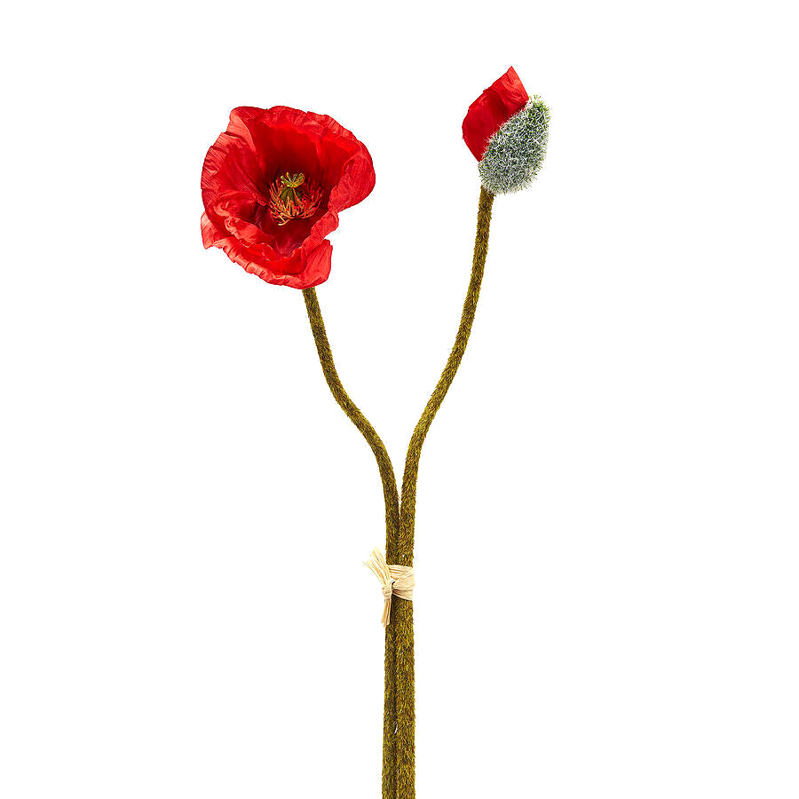 Fiore Artificiale Papavero Rosso "Real Touch" H70