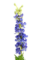Fiore di Delphinium blu: fiori artificiali di alta qualità  - Delphinium Azzurro