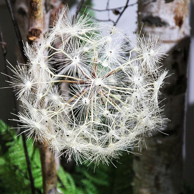 Fiore di Tarassaco Artificiale Bianco H70 D16 Cm - Fiori Artificiali di Qualit&agrave; - 2100137A100