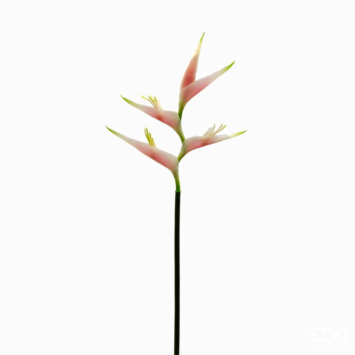 Ramo Eliconia artificiale rosa H75 - 214997