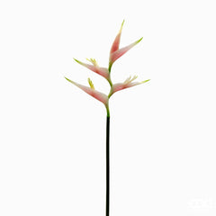 Ramo Eliconia artificiale rosa H75 - 214997
