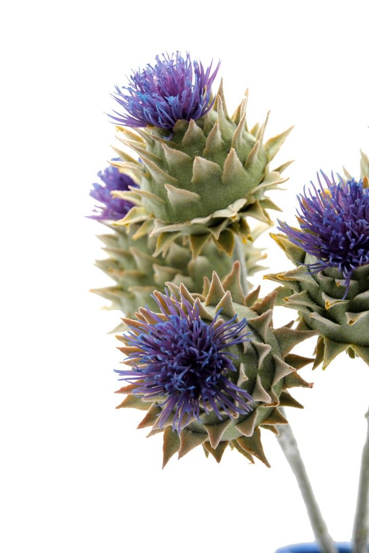 Ramo fiore di Cardo: fiori artificiali real touch - 214642
