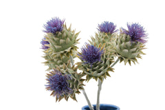 Ramo fiore di Cardo: fiori artificiali real touch - 214642