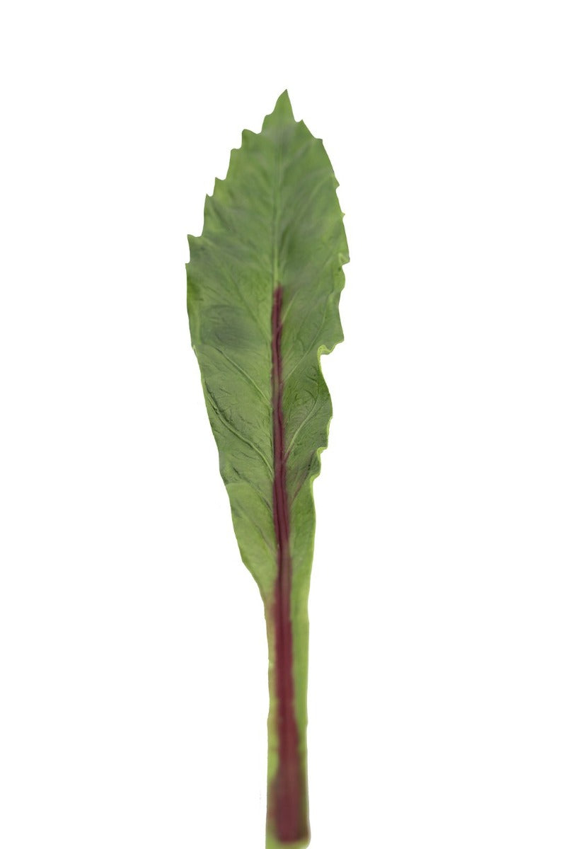 Foglia Asplenium finta: piante artificiali di qualità  - 93057