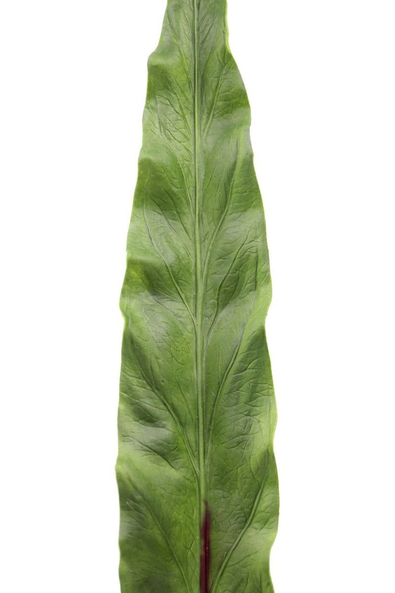 Foglia Asplenium finta: piante artificiali di qualità  - 93057