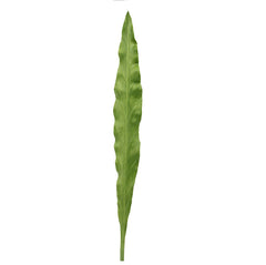 Foglia Asplenium finta: piante artificiali di qualità  - 93057